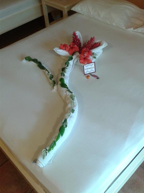 Hotel El Paraiso Escondido - Costa Rica Хако Экстерьер фото