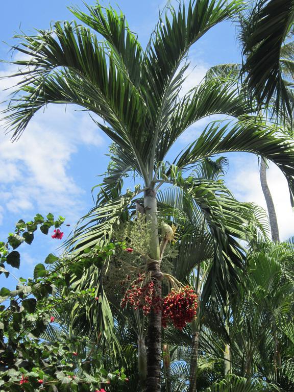 Hotel El Paraiso Escondido - Costa Rica Хако Экстерьер фото
