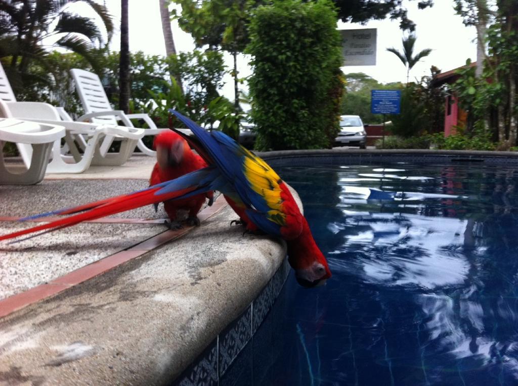 Hotel El Paraiso Escondido - Costa Rica Хако Экстерьер фото