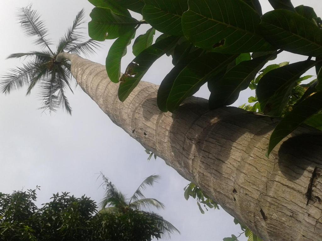 Hotel El Paraiso Escondido - Costa Rica Хако Экстерьер фото