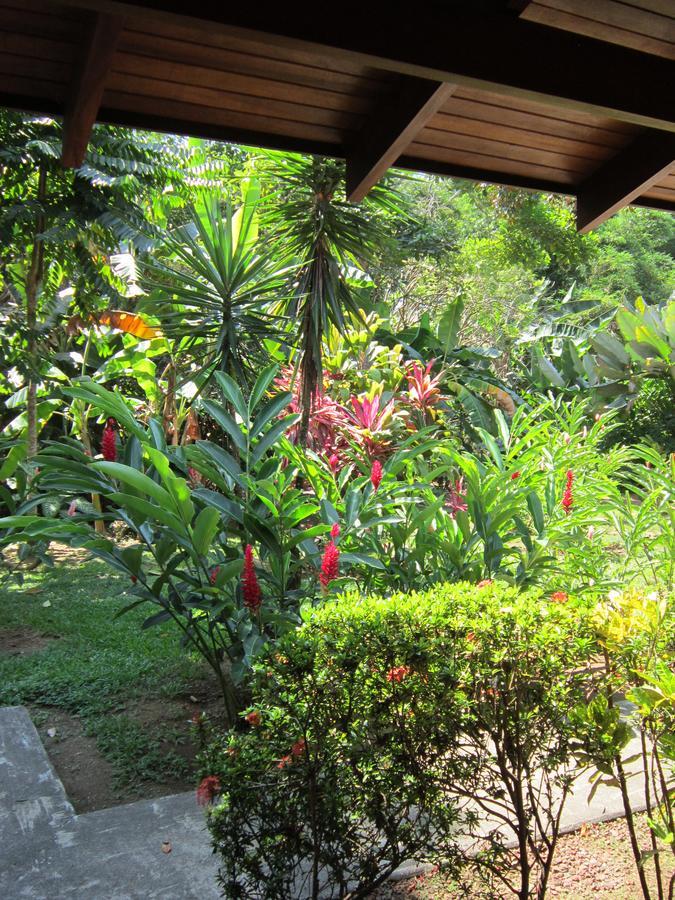 Hotel El Paraiso Escondido - Costa Rica Хако Экстерьер фото