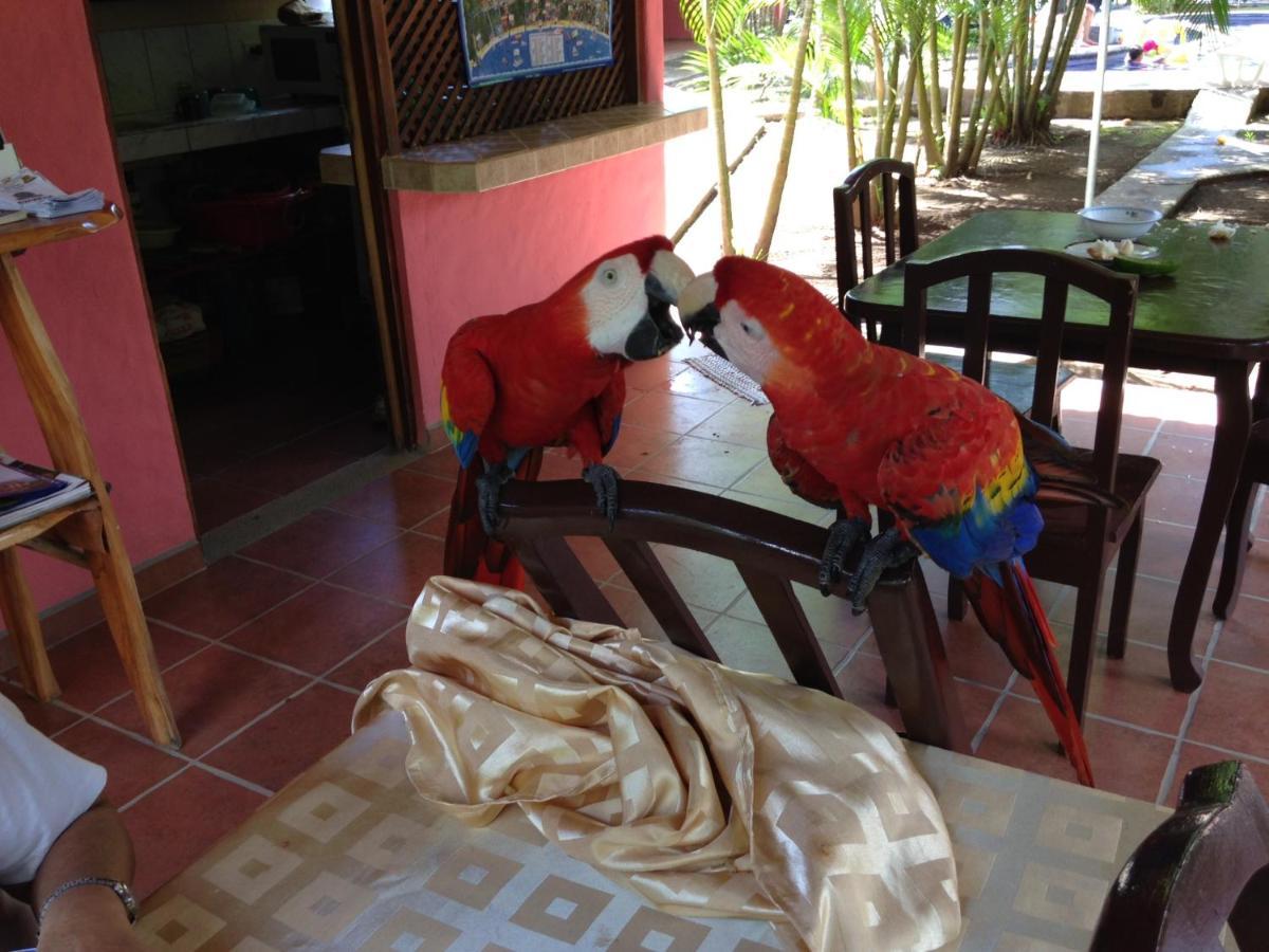 Hotel El Paraiso Escondido - Costa Rica Хако Экстерьер фото